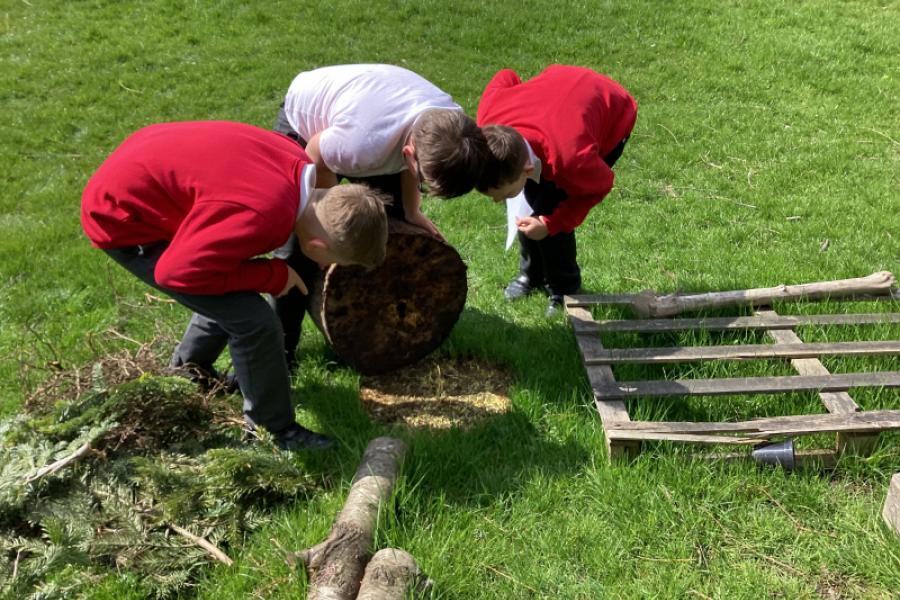 Classification Keys Broadbent Fold Nursery & Primary School